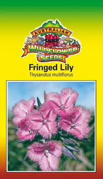 Thysanotus multiflorus - Fringed Lily (SEEDS)