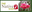 The Native Shop logo
