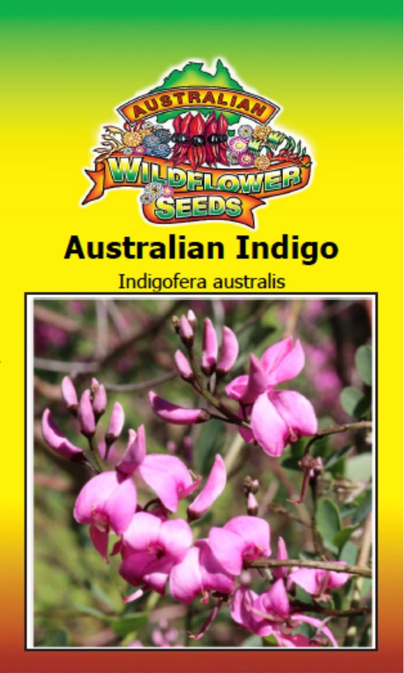 Indigofera australis - Australian Indigo (SEEDS)