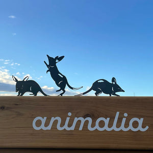 Animalia Art Australia Bilby Triplet Pack