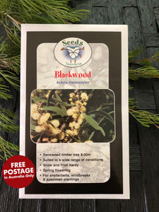 Seeds from Tasmania - Blackwood