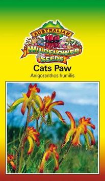 Anigozanthos humilis - Cats Paw (SEEDS)