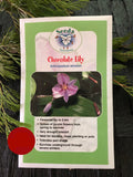 Seeds from Tasmania - Chocolate Lily