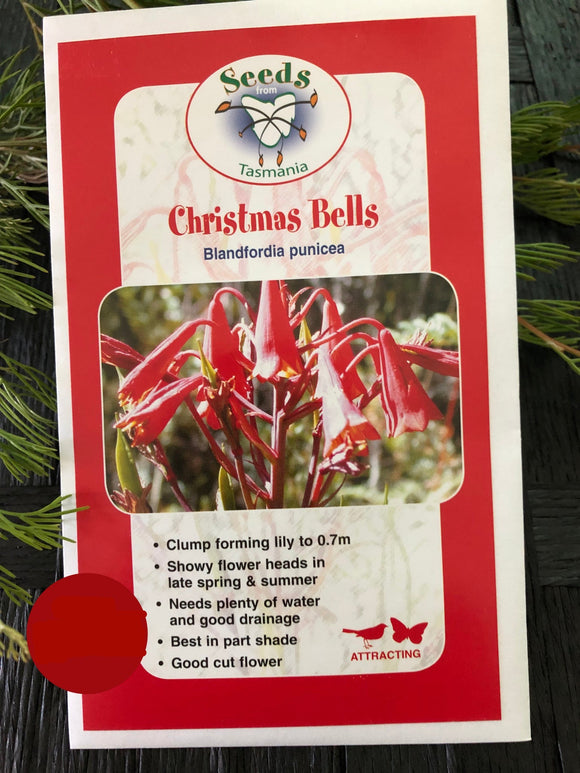 Seeds from Tasmania - Christmas Bells