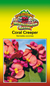 Kennedia coccinea - Coral Creeper (SEEDS)
