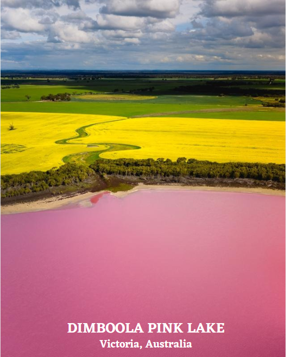 Dimboola Pink Lake, Victoria, Australia Artwork