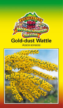 Acacia acinacea - Gold Dust Wattle (Seeds)