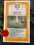 Seeds from Tasmania - Grass Tree