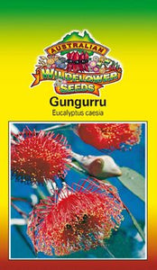 Eucalyptus caesia ssp magna - Gungurru (SEEDS)