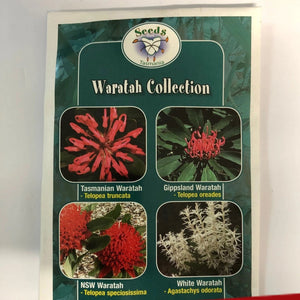 Seeds from Tasmania - Waratah Collection