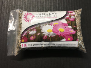 Lucinda Everlastings (Pink and White Everlasting Seed) - 10g Pack (SEEDS)
