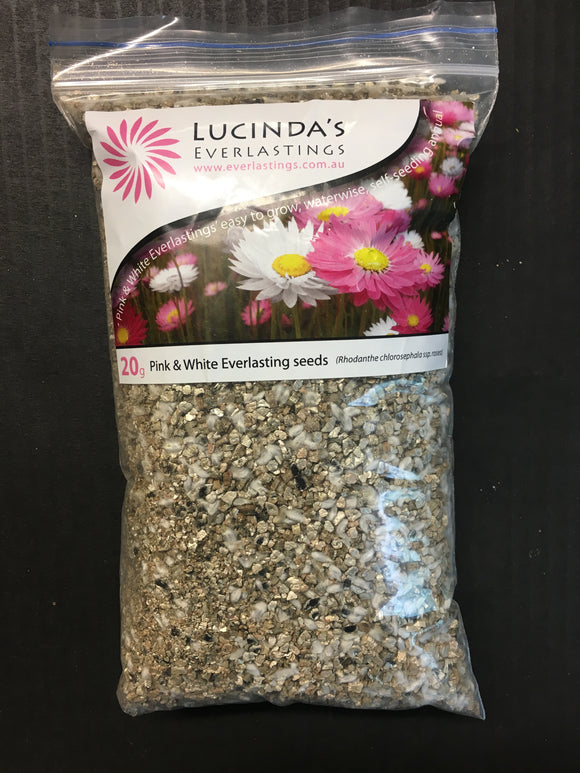 Lucinda Everlastings (Pink and White Everlastings seed) - 20g Pack (SEEDS)