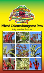 Anigozanthos flavidus - Mixed Colours Kangaroo Paw (SEEDS)