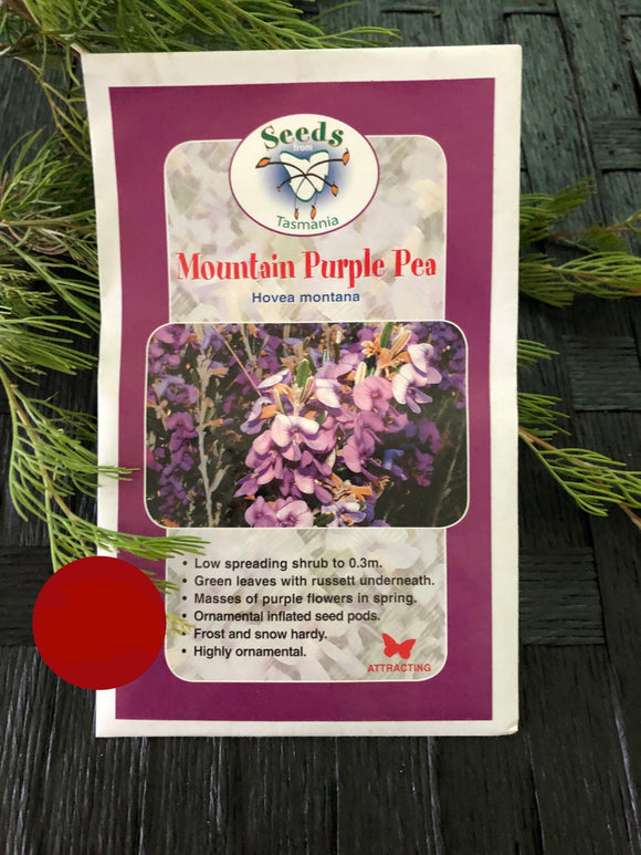 Seeds from Tasmania - Mountain Purple Pea