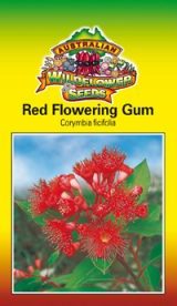 Corymbia ficifolia syn. Eucalyptus ficifolia - Red Flowering Gum (SEEDS)