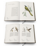 Birds of Tasmania - Susan Lester