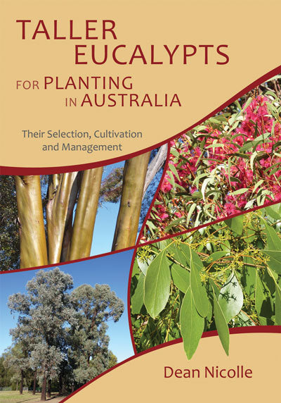 Taller Eucalypts for Planting in Australia