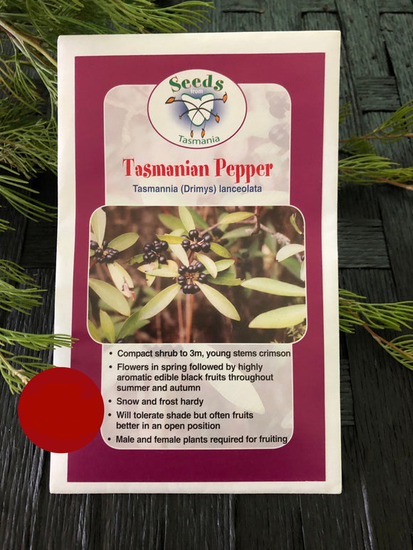 Seeds from Tasmania - Tasmanian Pepper