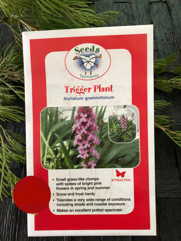 Seeds from Tasmania - Trigger Plant