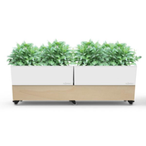 Glowpear - Double Cafe Planter