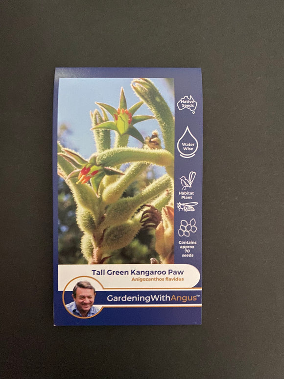 Angus seeds Tall Green Kangaroo Paw