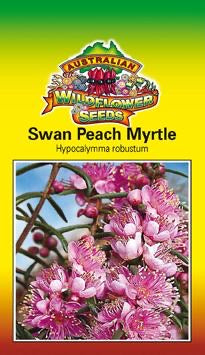 Hypocalymma robustum - Swan Peach Myrtle (SEEDS)